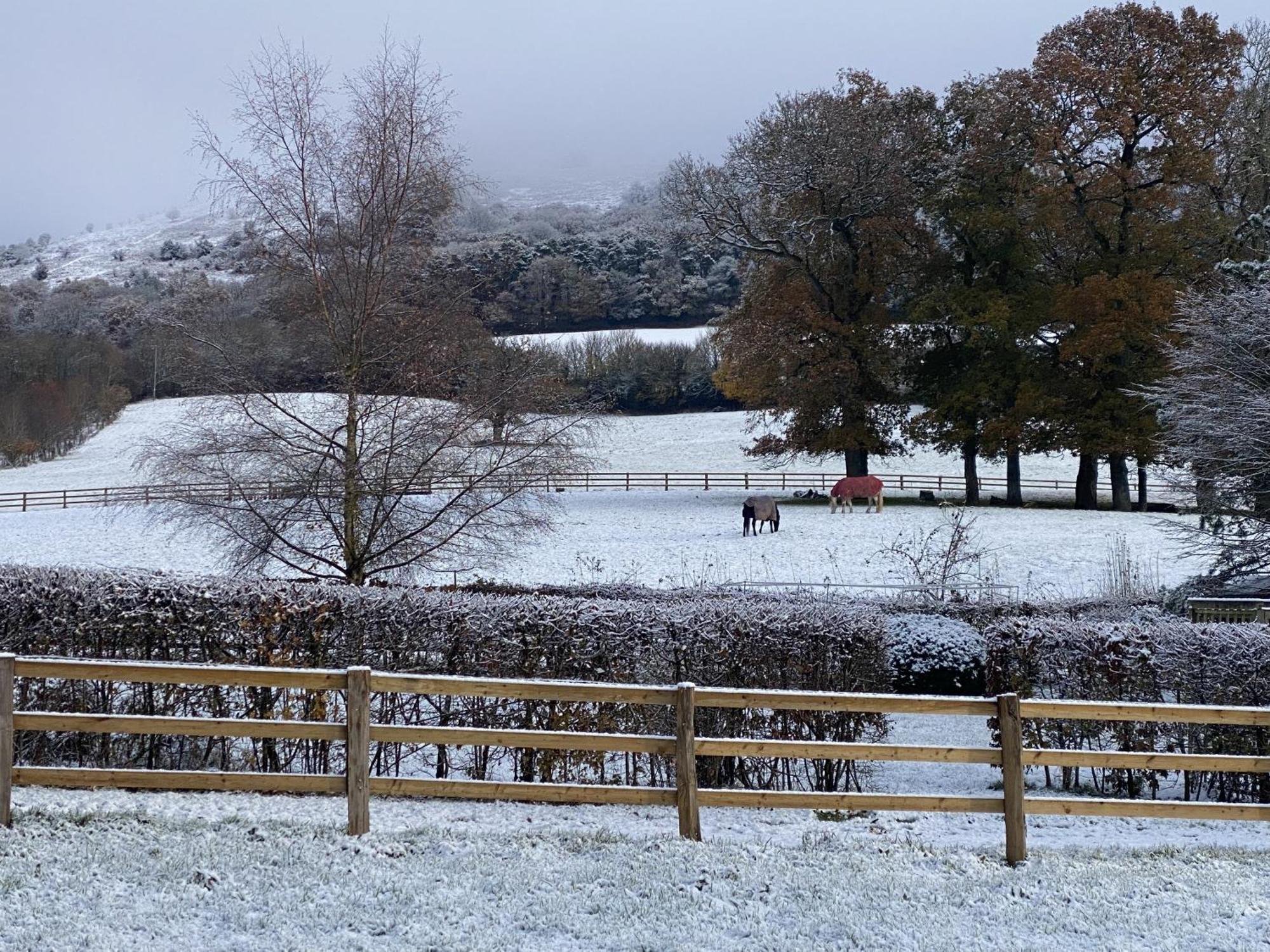 Tvf Stable Holiday home Nether Stowey
