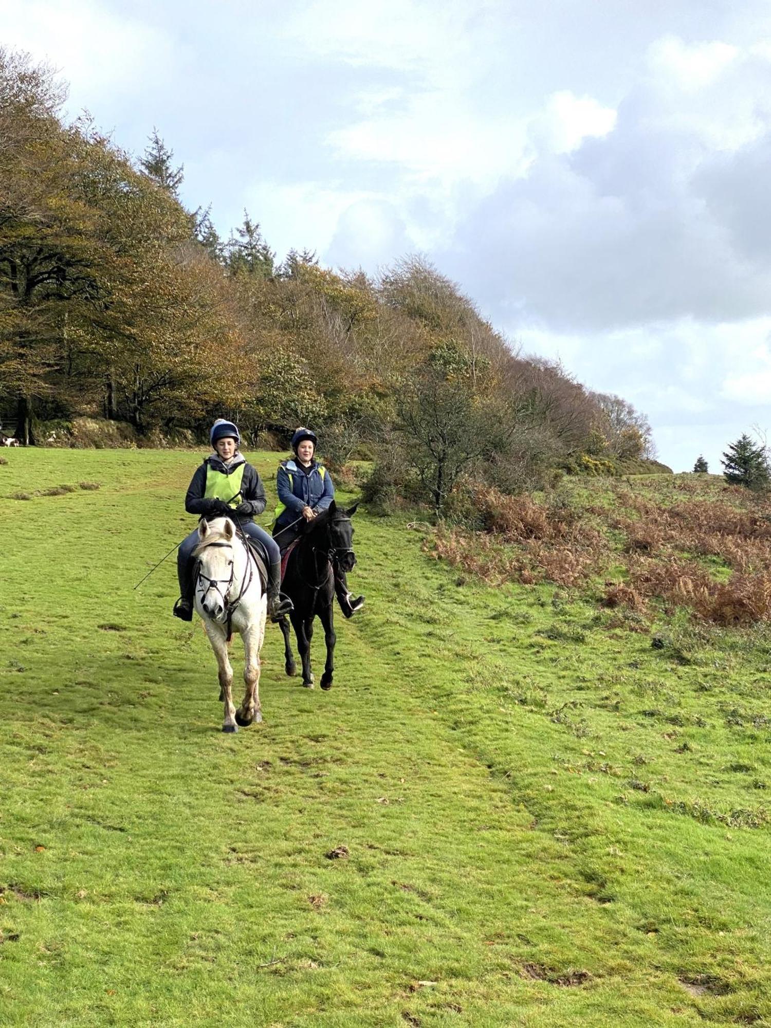 Tvf Stable Holiday home
